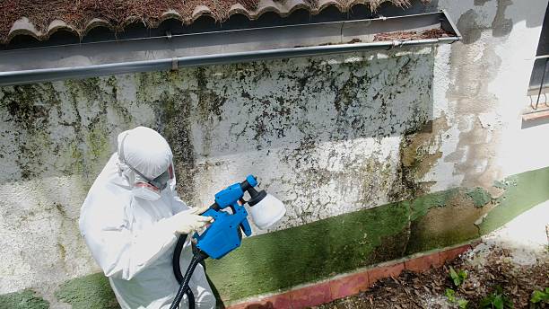 Top rated local Attic Mold Removal specialists in Dunn, NC